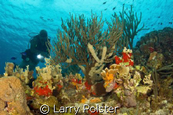 D300, Tokona 10-17 by Larry Polster 